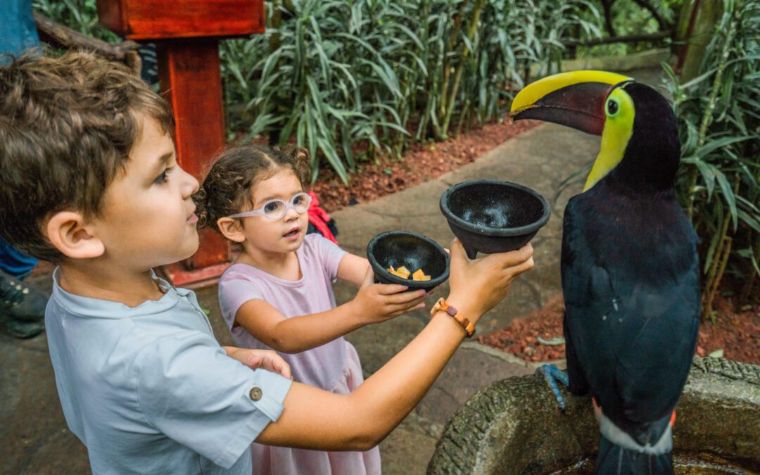 Fun Learning Activities When Traveling to Costa Rica with Kids