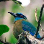 Curi Cancha reserve hiking trails & birdwatching