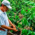 Don Juan coffee Tours in Arenal