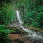 La Paz Waterfall Gardens