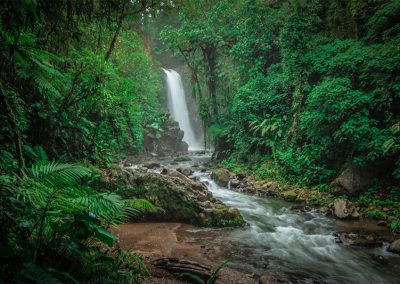 La Paz Waterfall Gardens