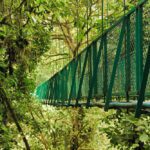 hanging bridges at monteverde