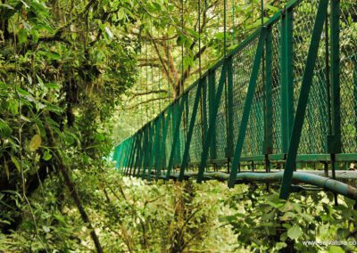 hanging bridges at monteverde