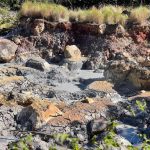 Rincon de la Vieja National Park Guided Hike