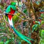 Family Cloudforest Reserve Hike