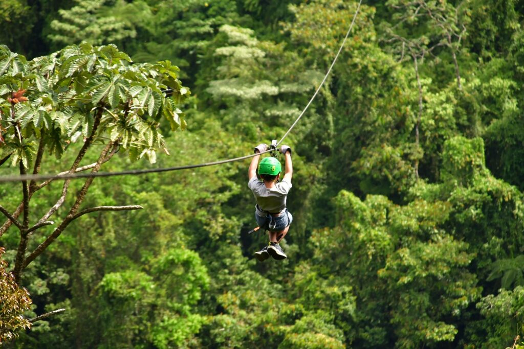 Boy Ziplining through the canopy 