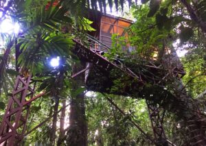 Maquenque Ecolodge Tree House