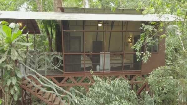 Maquenque Ecolodge Tree House