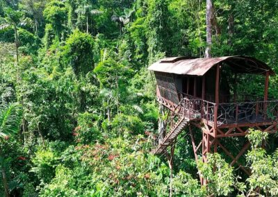 Maquenque Ecolodge Tree House