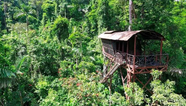 Maquenque Ecolodge Tree House
