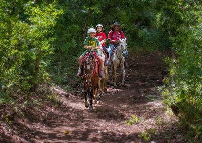 One day pass Guachipelin