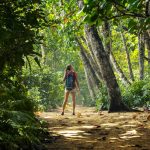 Nature hike in Cahuita National Park