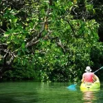 Kayaking on the river