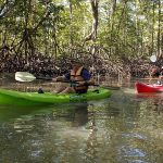 kayaking in punta uva