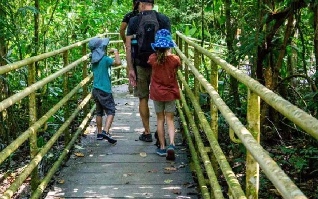 Exploring Costa Rica’s National Parks: A Family Adventure Guide