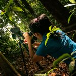 sloth tour rio celeste