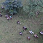 Horseback riding rio celeste