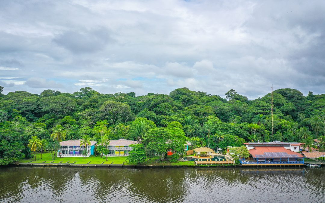 Tortuga Lodge & Gardens