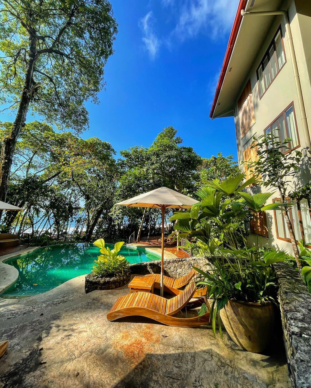 An inviting outdoor swimming pool surrounded by lush greenery with loungers and umbrellas awaiting poolside relaxation.