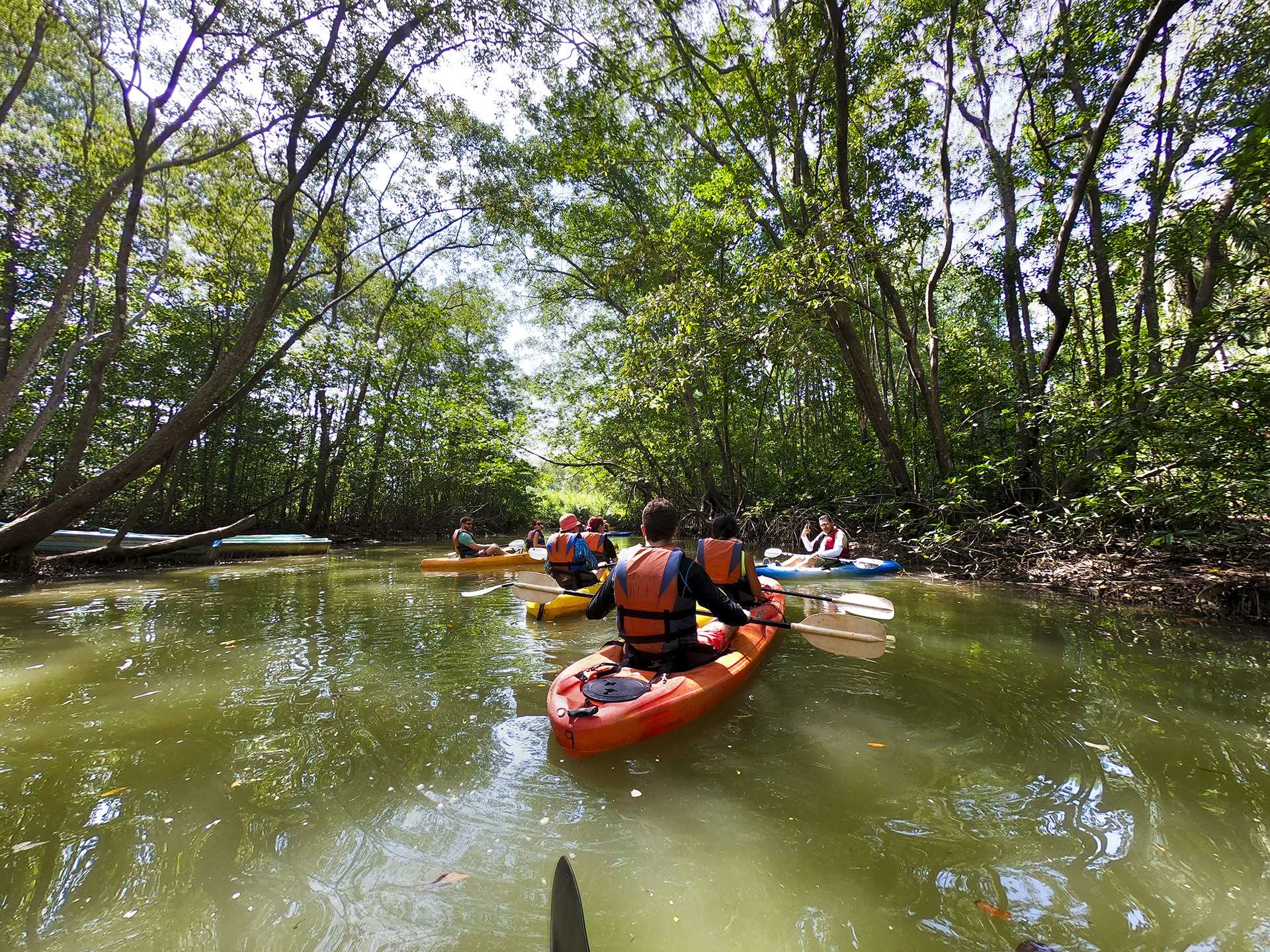 A group of kayakers navigating a serene and verdant forest waterway in Costa Rica.