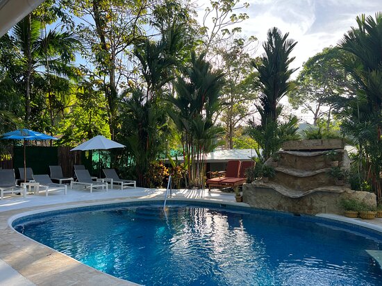 A tranquil poolside oasis surrounded by lush tropical foliage basks in the warm glow of the sun, offering an inviting escape into nature's embrace.