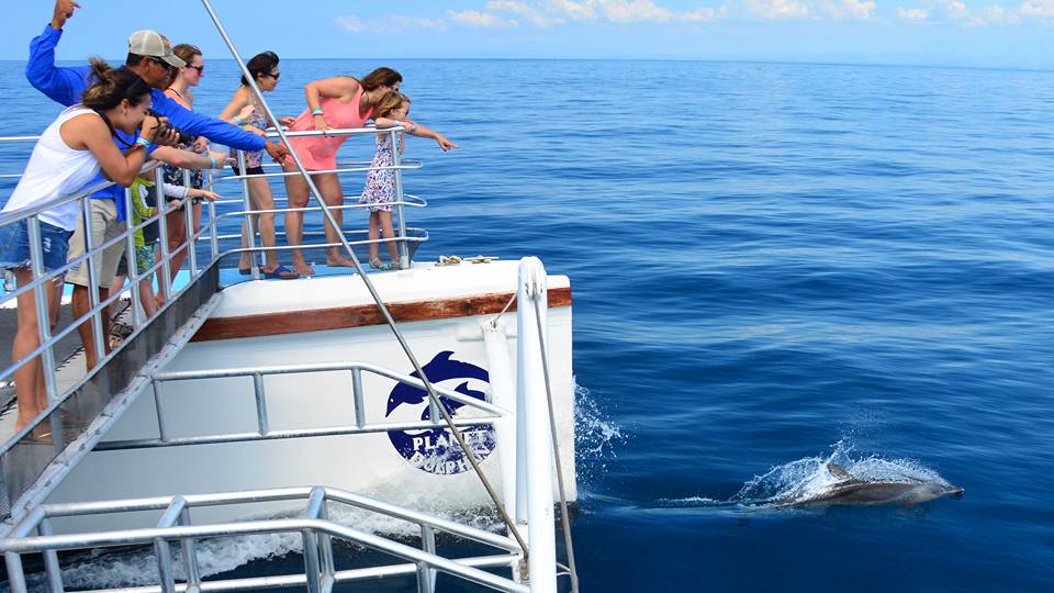 Excited passengers on a boat enjoying a dolphin sighting during a sea adventure in Costa Rica.