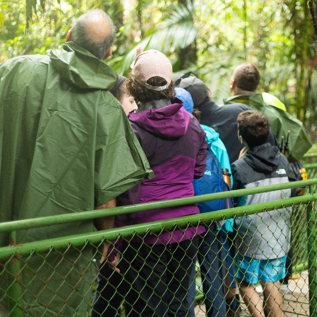 Group of people wearing raincoats on a forest trail.