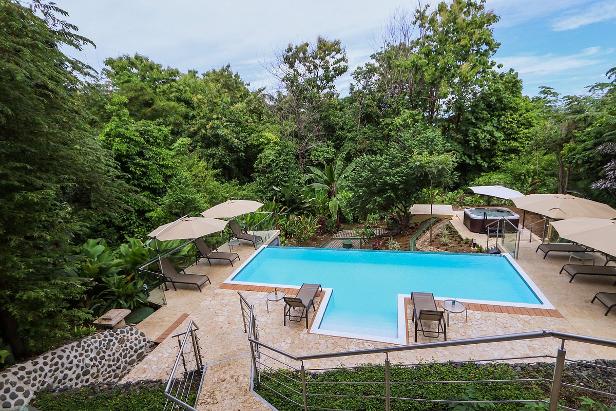 An inviting outdoor swimming pool surrounded by lush greenery with loungers and umbrellas awaiting poolside relaxation.