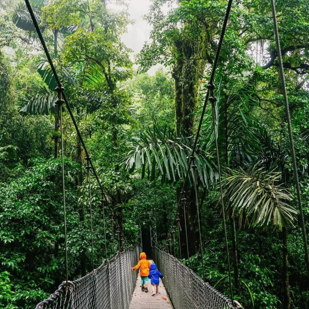 Children crossing haging bridges