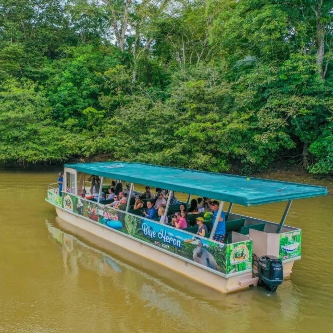 Caño Negro Wildlife Refuge Boat Tour