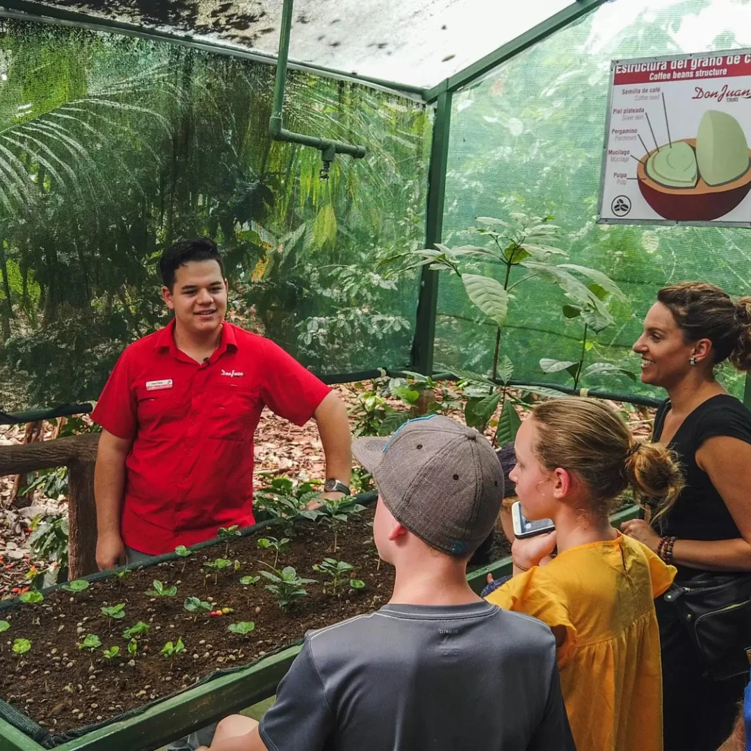 Don Juan Coffee and Chocolate Tour