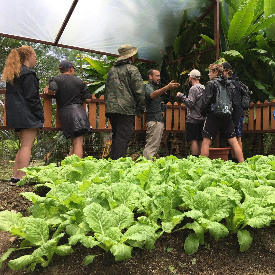 Local Flavor and Spice Garden Tour