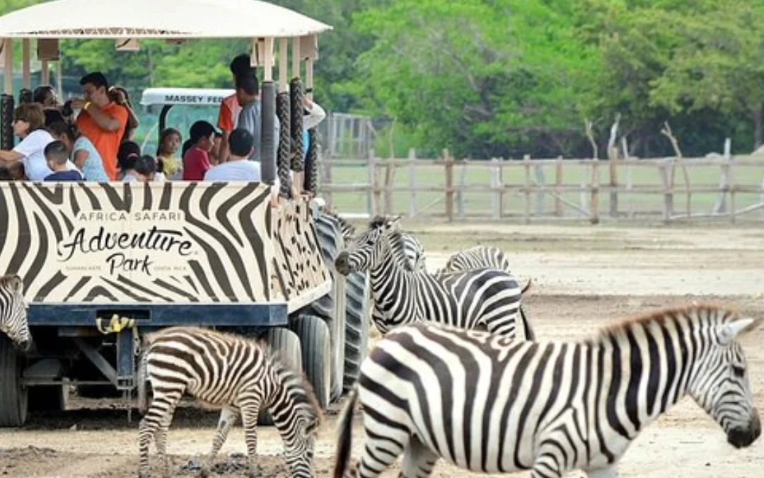 Costa Rica For Kids: Best Animal Sanctuaries and Zoos