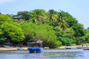 Tamarindo Boat Estuary Tour