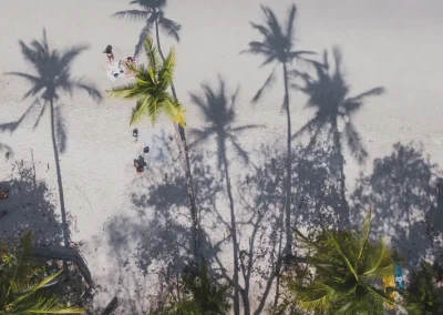 Palm tree shadows over a tropical roof in Costa Rica