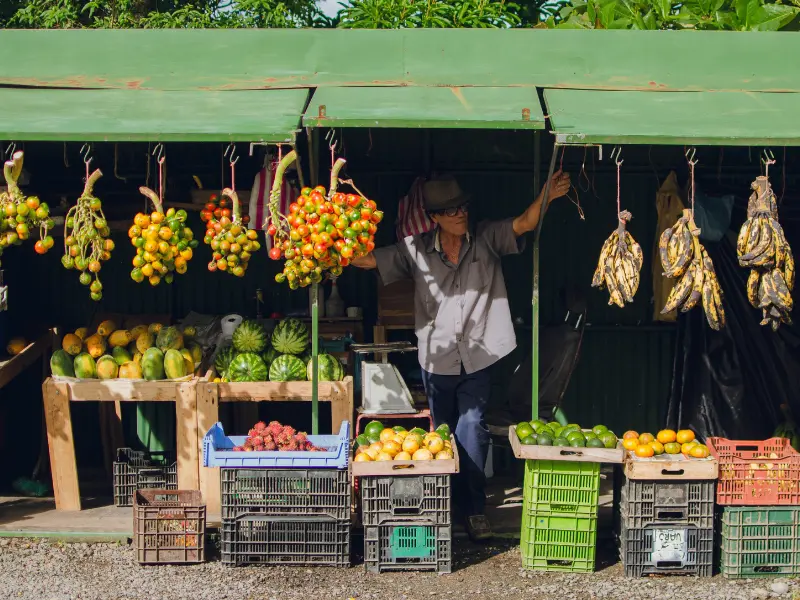Local vendor selling bananas and fresh produce at a family-friendly Costa Rica fruit market