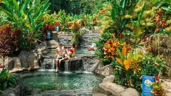 Family Friendly Hotels & Resorts