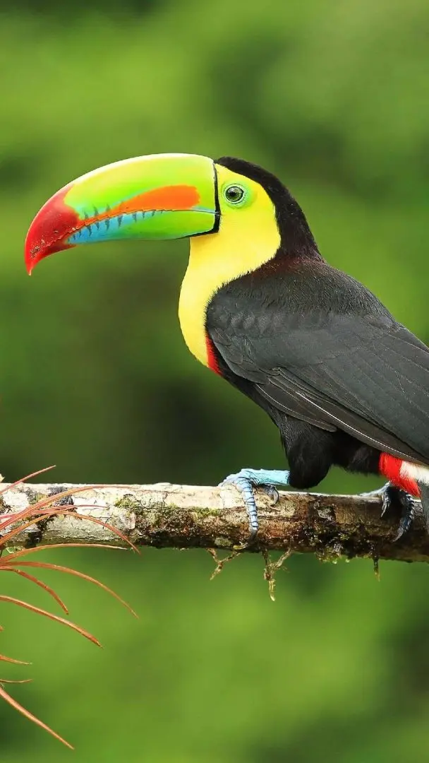  Nature and Wildlife 