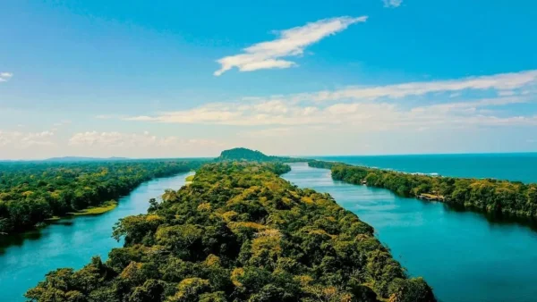 Tortuguero